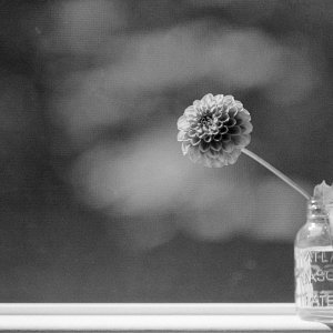 Roll _11_F100_2025_Image_37-positive.jpg