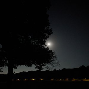 2025-10-05 ~ A7C04873.jpg