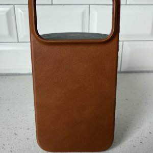 Bluebonnet Day 1.jpg