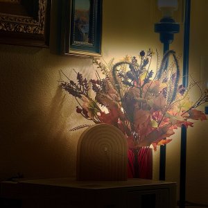 fallflowers - 1.jpeg