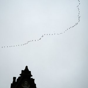 2025-10-30 ~ A7C06903.jpg