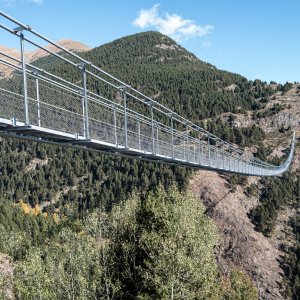 Tibetan. Bridge.jpg