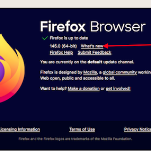About Firefox What's New.png