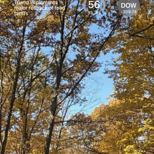 Screenshot 2025-11-14 at 6.29.20 PM.png