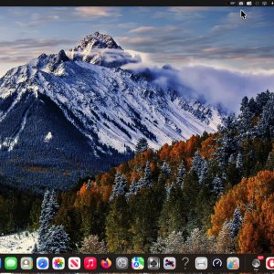 2025-11-15 19.32.55.jpeg