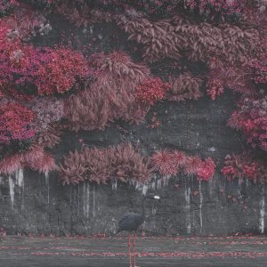 A Even_in_Arcadia.jpg