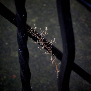 2025-11-19 ~ R52_0733.jpg