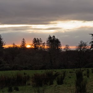 Sunrise20251121.jpg