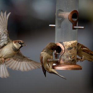 2025-11-21 ~ R52_1202.jpg