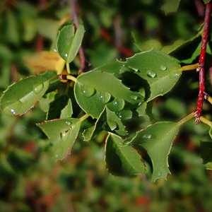 IMG_20251121_093542 cropxv.jpg