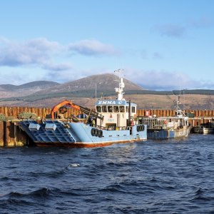 CarradaleHarbour20251120.jpg
