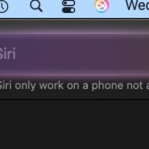 Siri menu bar.jpg