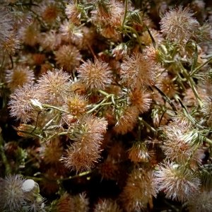 IMG_20251029_111646 xvcrop.jpg