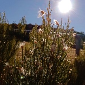 IMG_20251208_091104 x.jpg