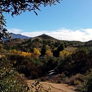 IMG_20251214_092401 cropx.jpg