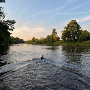IMG_9441.jpeg