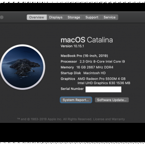 Screen Shot 2019-11-16 at 7.05.33 PM.png