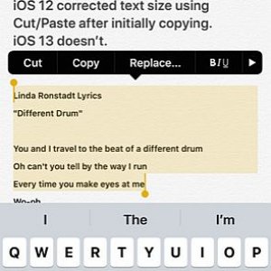 Notes App-Unable to Change Text Size via Cut_Paste_iOS 13_sharp.jpg