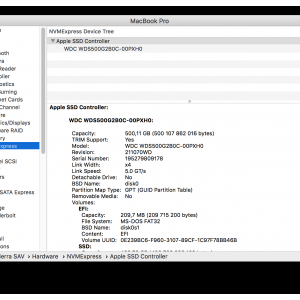 WD Blue NVMe  sysinfo.png