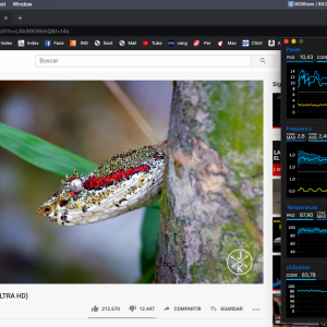 Captura de pantalla 2020-04-17 a las 22.22.17.png