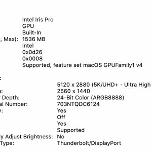 Screenshot of System Information (5-8-20, 10-53-22 AM).jpg