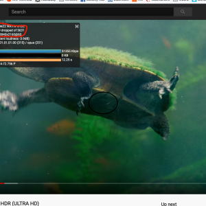 Screenshot 2020-05-12 at 01.35.56.png