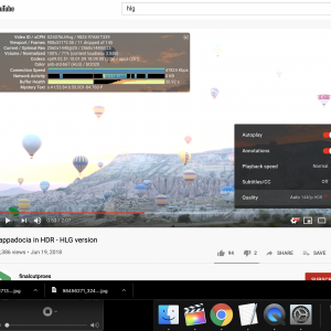 Screen Shot 2020-05-21 at 2.05.49 AM.png