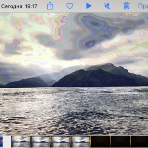 IMG_1488.PNG