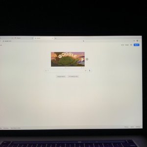IMG_0013.jpeg
