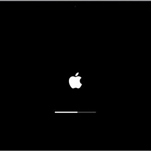 macos-catalina-startup-screen-progress-bar.jpg