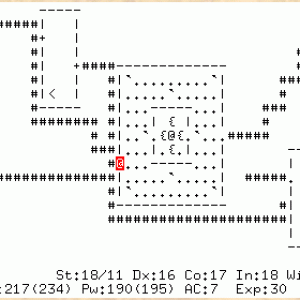 nethack.gif