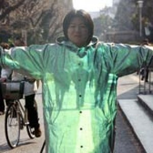 story.japan.invisible.ap.jpg