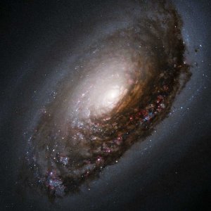 blackeyegalaxy.jpg