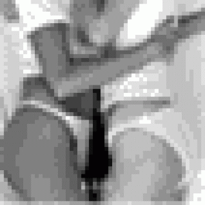 girls2.gif