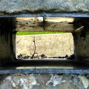 IMG_4096.jpg