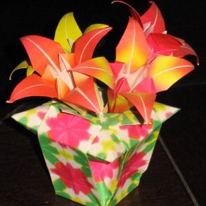 origami5.jpg