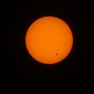 Sunny.jpg