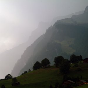 DSCF0618.jpg