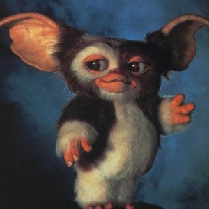 mogwai.jpg