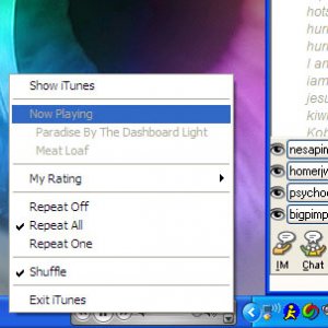 itunes toolbar screenshot.jpg