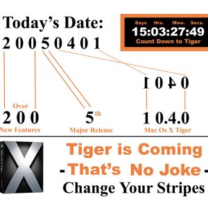 Tiger4.jpg