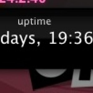 uptime.jpg