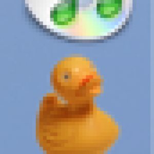 Picture 1.png