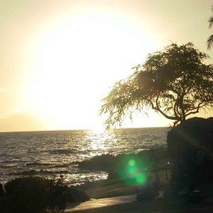 Hawaii~Maui Pictures 061 copy.jpg