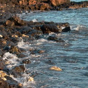 Hawaii~Maui Pictures 063 copy.jpg