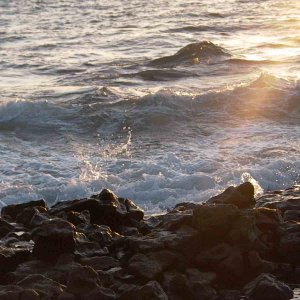 Hawaii~Maui Pictures 068 copy.jpg