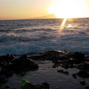 Hawaii~Maui Pictures 075 copy.jpg