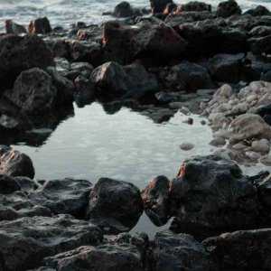 Hawaii~Maui Pictures 084 copy.jpg