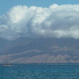 Hawaii~Maui Pictures 106 copy.jpg