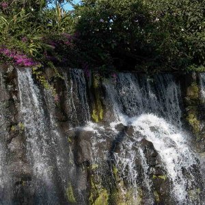 Hawaii~Maui Pictures 166 copy.jpg